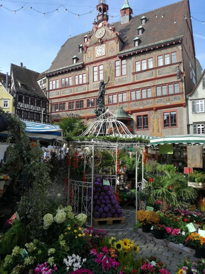 Schoene, Grosse Ferienwohnung In Waldenbuch, Nahe Stuttgart Messe, Boeblingen, Sindelfingen Exterior foto